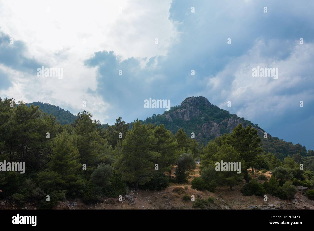 Foresta di alberi verdi e montagne contro un cielo nuvoloso blye sullo sfondo.Foto di alta qualità Foto Stock