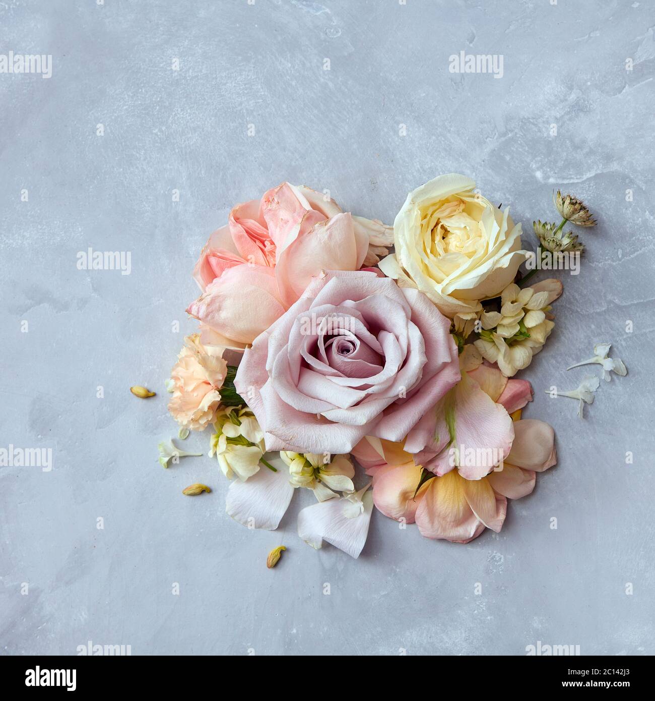 fiori di rose in stile vintage Foto Stock