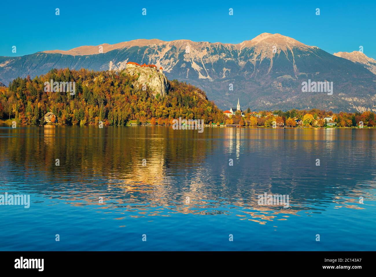 Maestoso scenario autunnale con la foresta colorata e il lago Bled, Slovenia, Europa Foto Stock