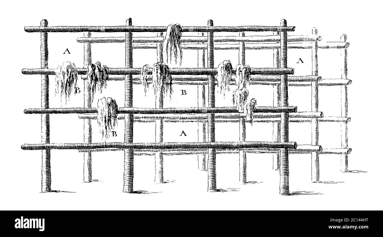 Illustrazione antica di asciuga di lana. Pubblicato in 'UNA Enciclopedia pittorica Diderot di mestieri e industria. Produzione e arti tecniche in Pla Foto Stock Illustrazione antica di asciuga di lana. Pubblicato in 'UNA Enciclopedia pittorica Diderot di mestieri e industria. Produzione e arti tecniche in Pla Foto Stock