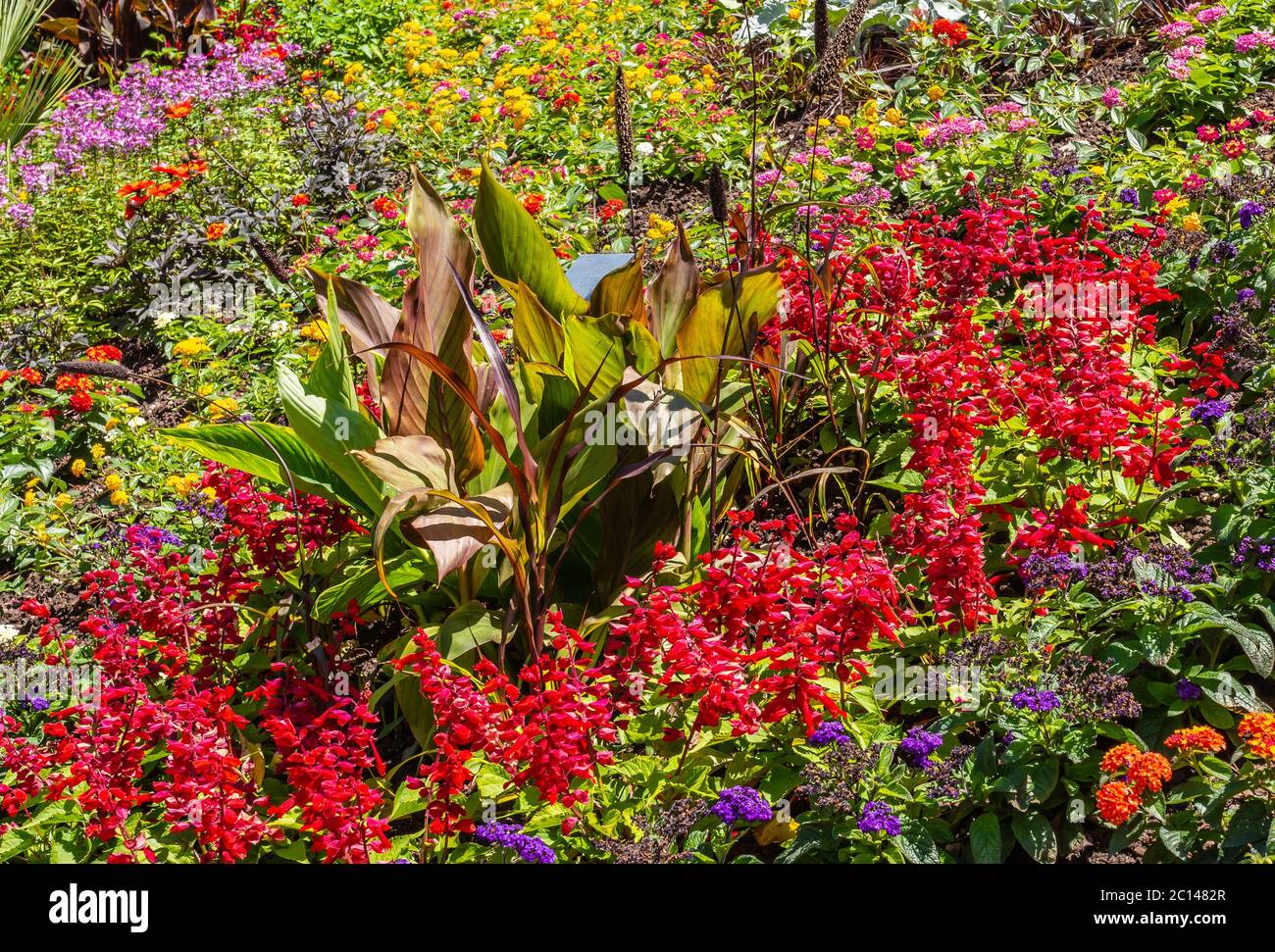 Fioritura giardino fiorito con varietà di fiori e pipistrelli primaverili in Alto adige, Trentino Alto Adige, Italia settentrionale Foto Stock