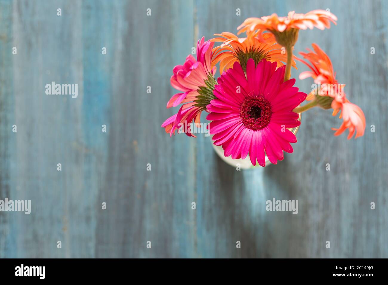 Fiori, arance e rosa in vaso di vetro su sfondo blu, minimal, decorativo, artistico. Foto Stock