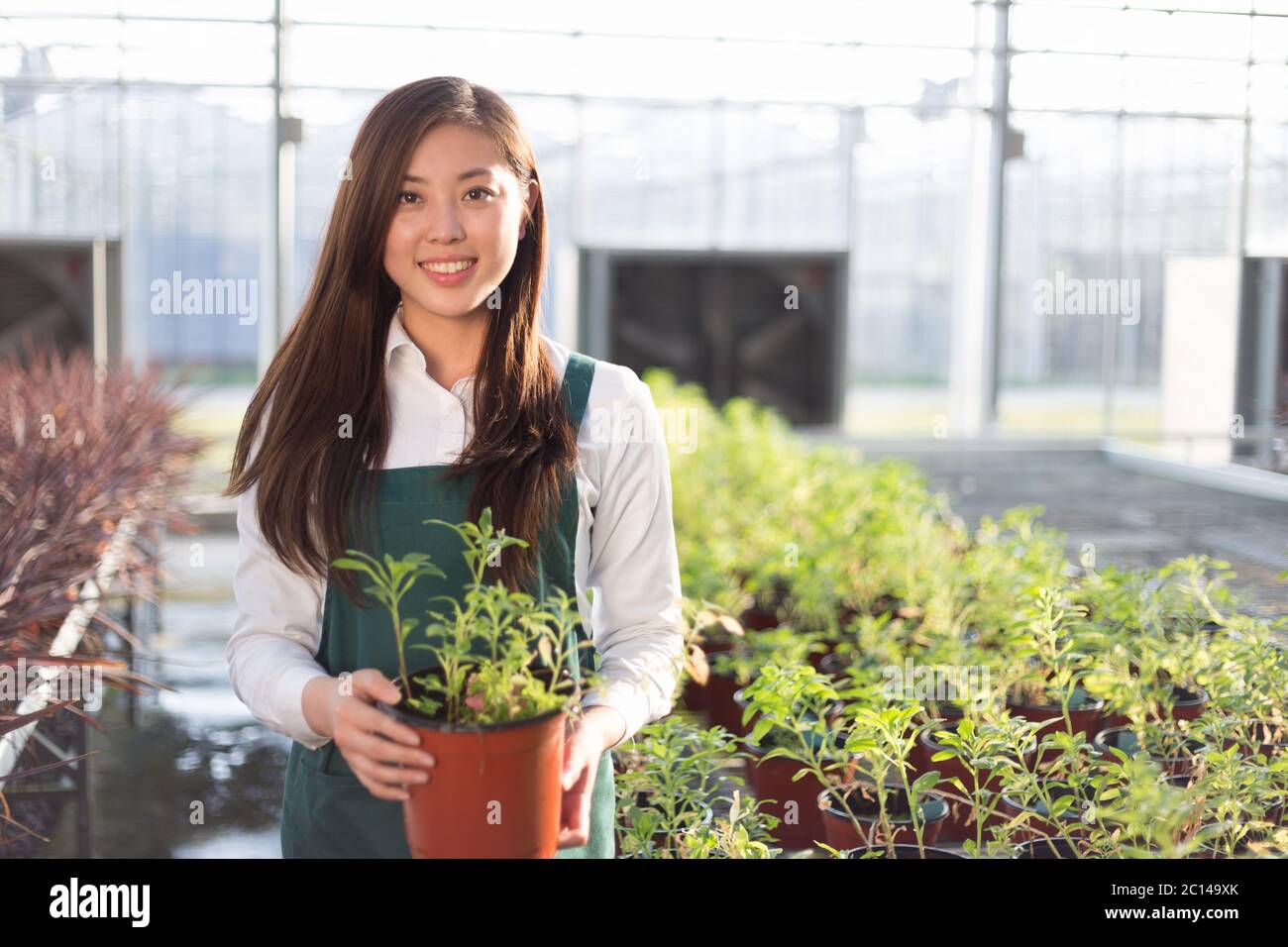 Giovane bella donna asiatica lavora nel campo verde Foto Stock