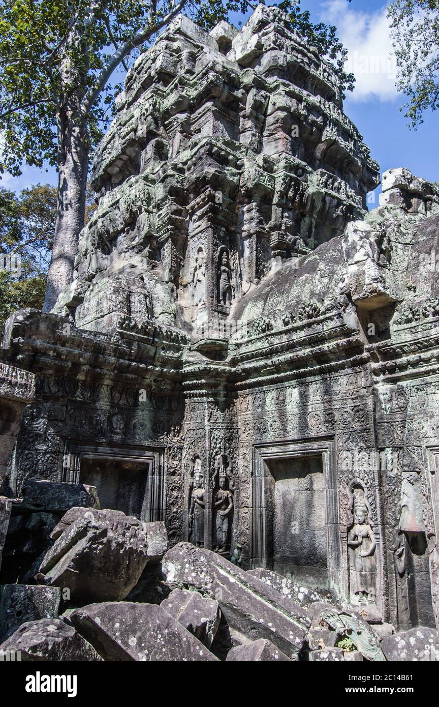 Tumbled giù la muratura all'antico tempiale Khmer di Ta Prohm nella giungla ad Angkor, Siem Reap, Cambogia. Foto Stock