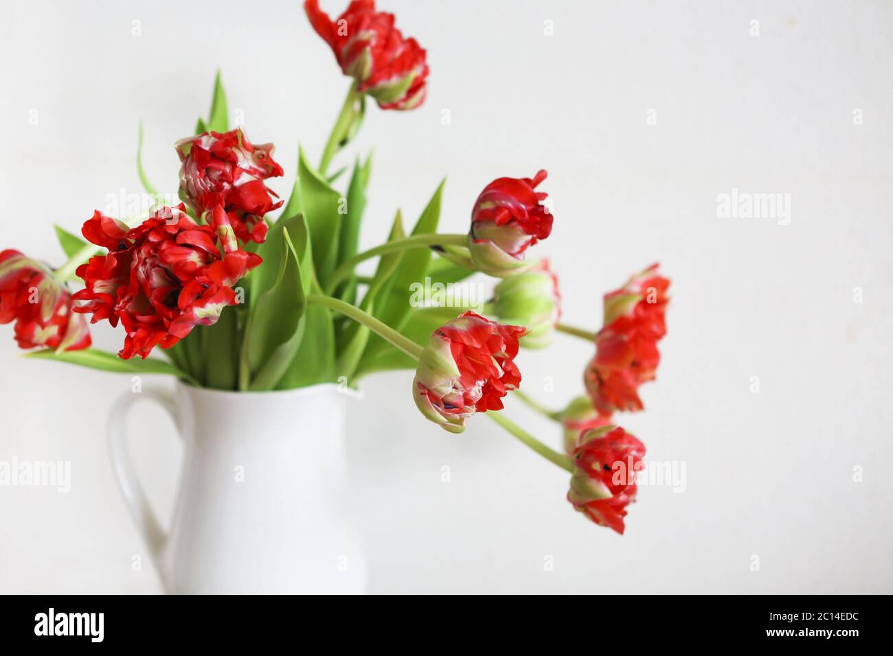 Bouquet di tulipani in vaso bianco su sedia rustica in legno Foto Stock