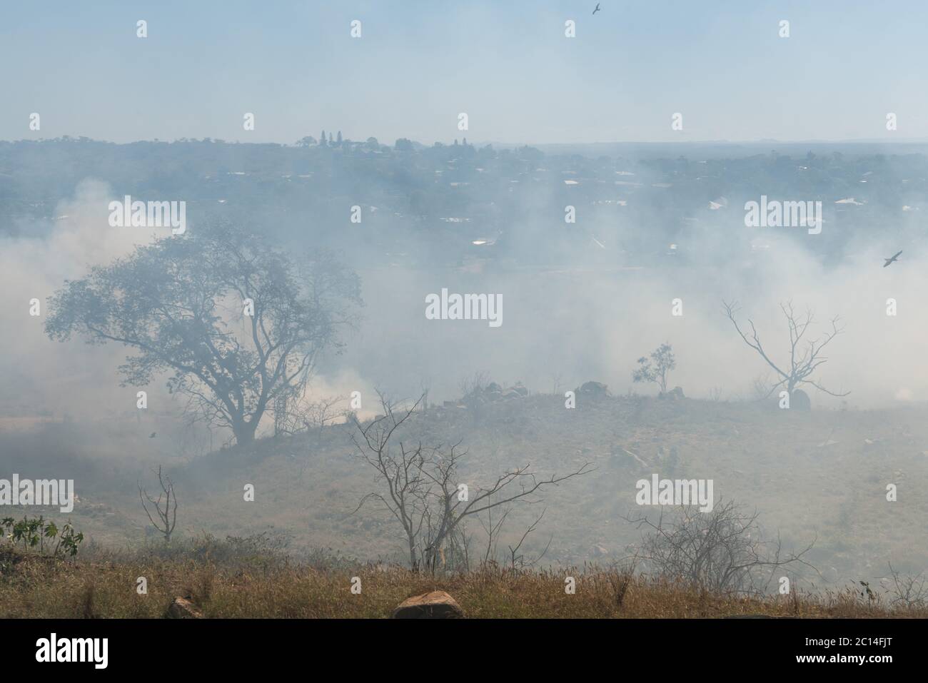 Fuoco che brucia in Bushland vicino a città di campagna, Queensland, Australia Foto Stock