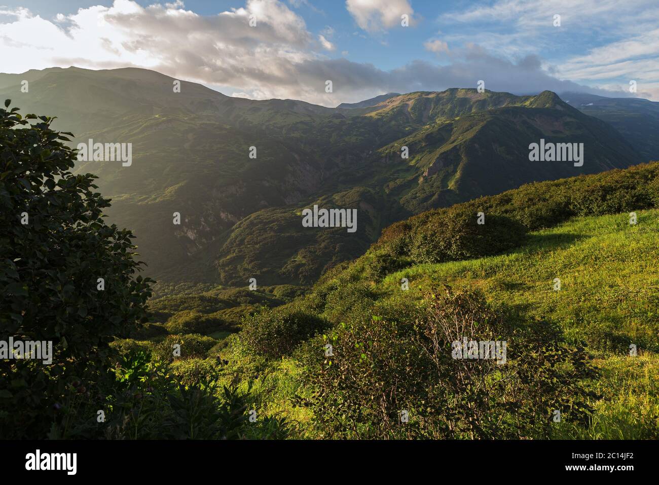 Brookvalley Spokoyny al piede esterno del nord-est della pendenza della caldera del vulcano Gorely. Foto Stock