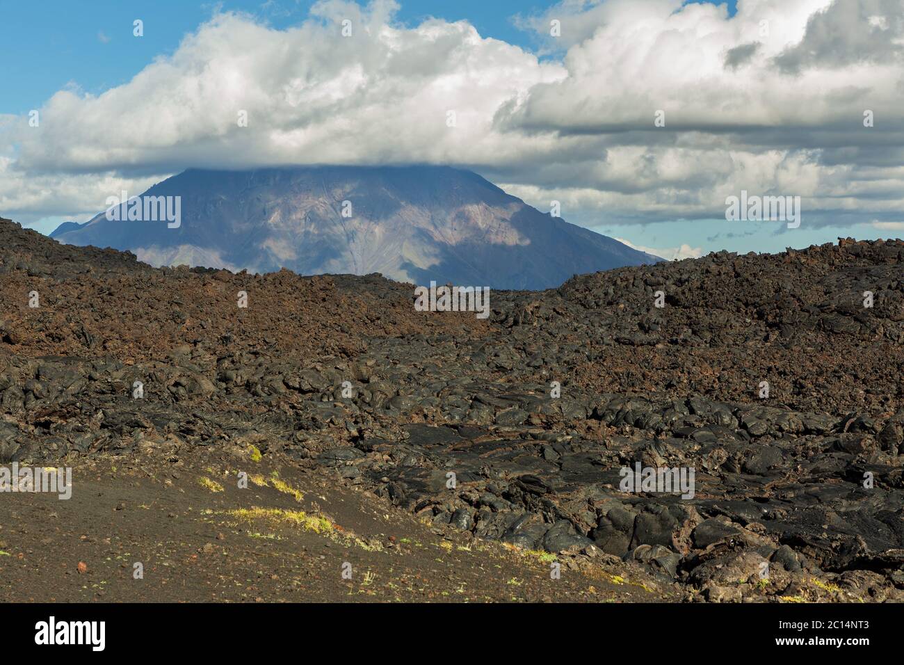 Campo di lava al vulcano Tolbachik, dopo l'eruzione nel 2012 sullo sfondo grande vulcano Udina, Kamchatka Foto Stock
