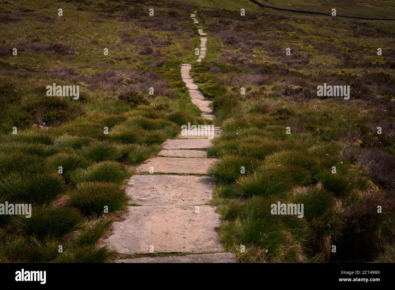 Sentiero in pietra sopra Moorland, Yorkshire Dales Foto Stock