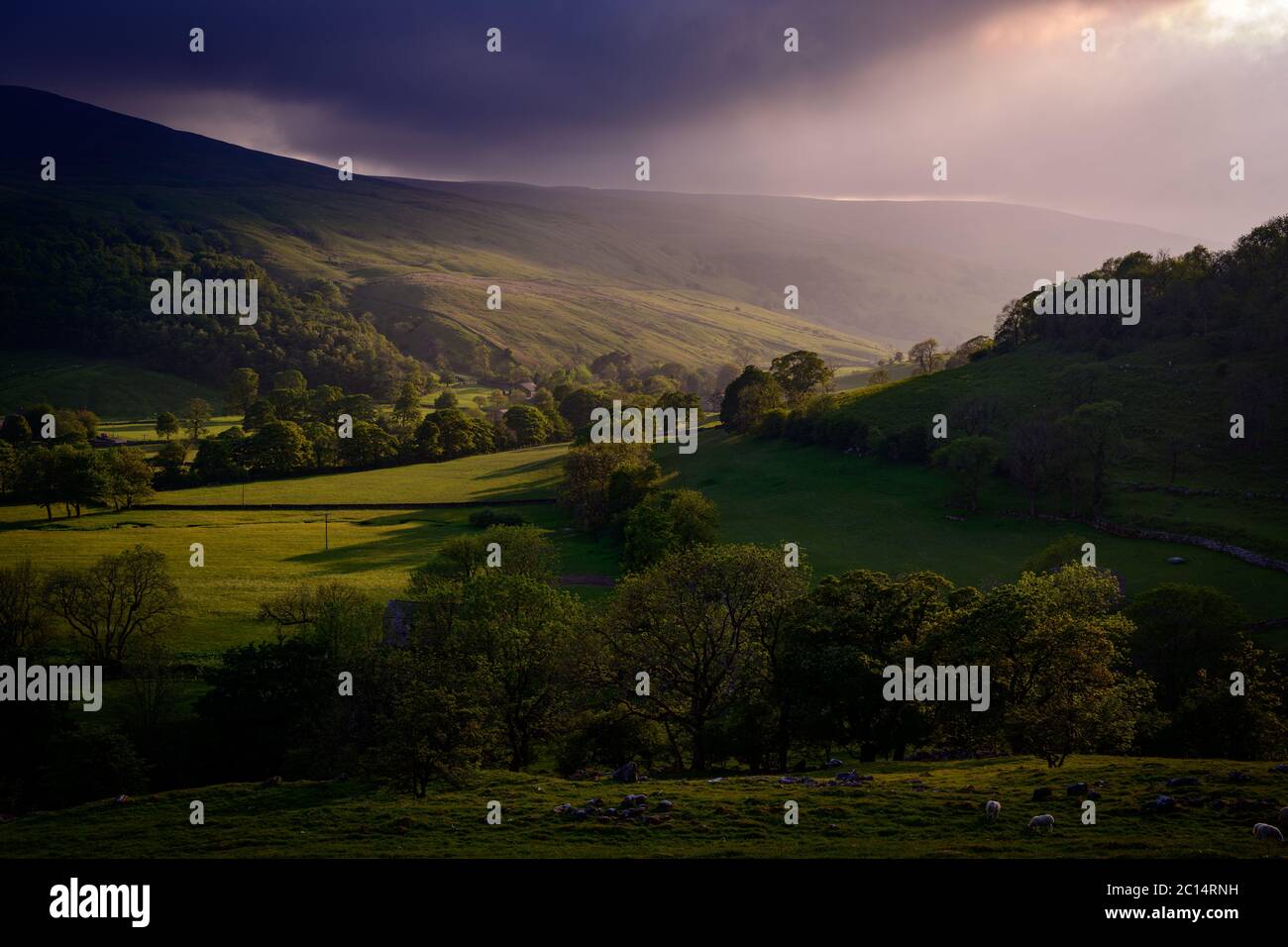 Upper Wharfedale, Yorkshire Dales National Park Foto Stock