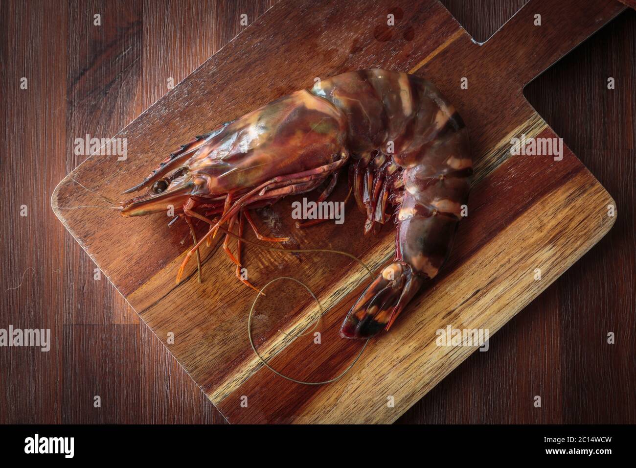 Crudo fresco gamberi Foto Stock