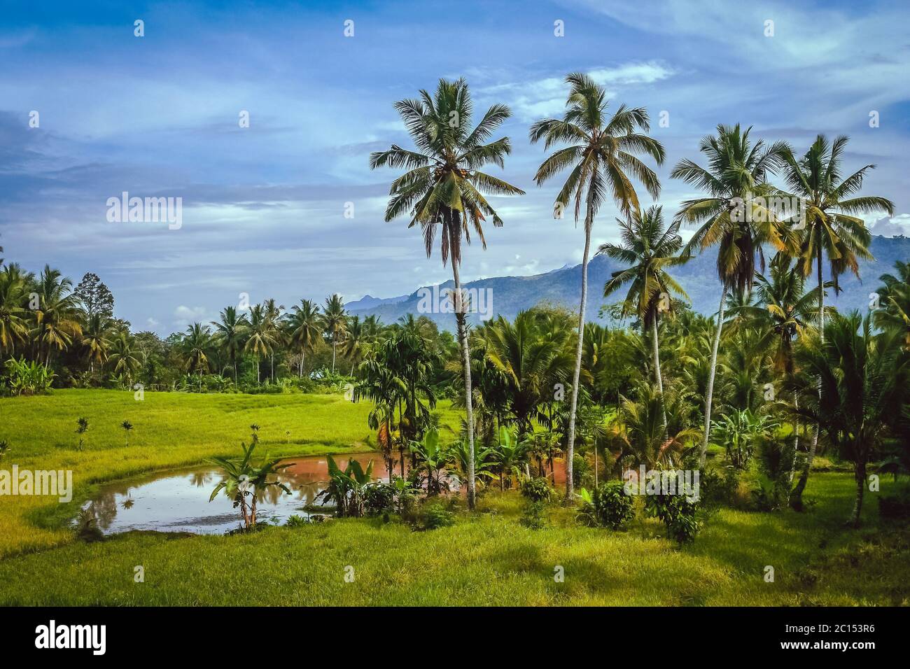 Indonesiano paesaggio tropicale Foto Stock