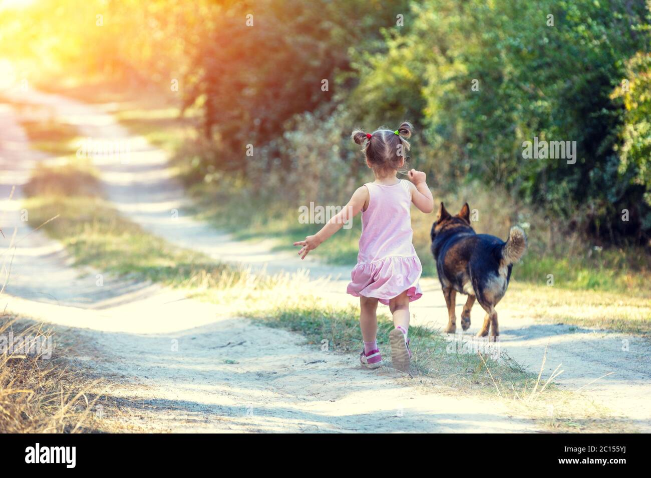 Bambina con un cane che corre sulla strada sterrata in foresta in una giornata estiva di sole. Torna alla fotocamera Foto Stock