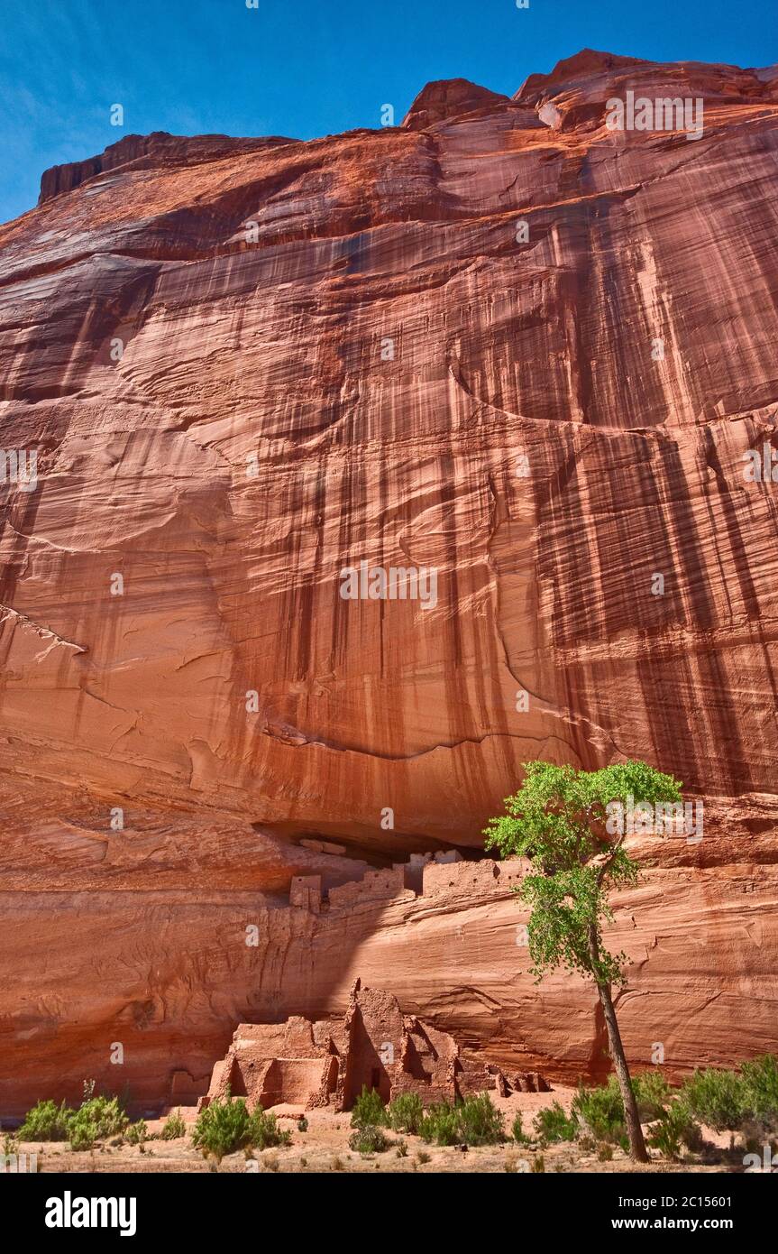 White House rovine, vernice del deserto su parete, Canyon de Chelly Monument, Riserva indiana Navajo, Arizona, Stati Uniti Foto Stock