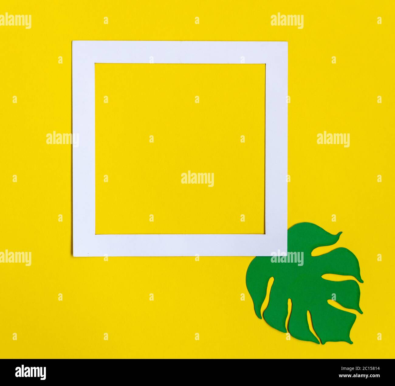 Cornice di carta su sfondo giallo con foglie di monstera Foto Stock