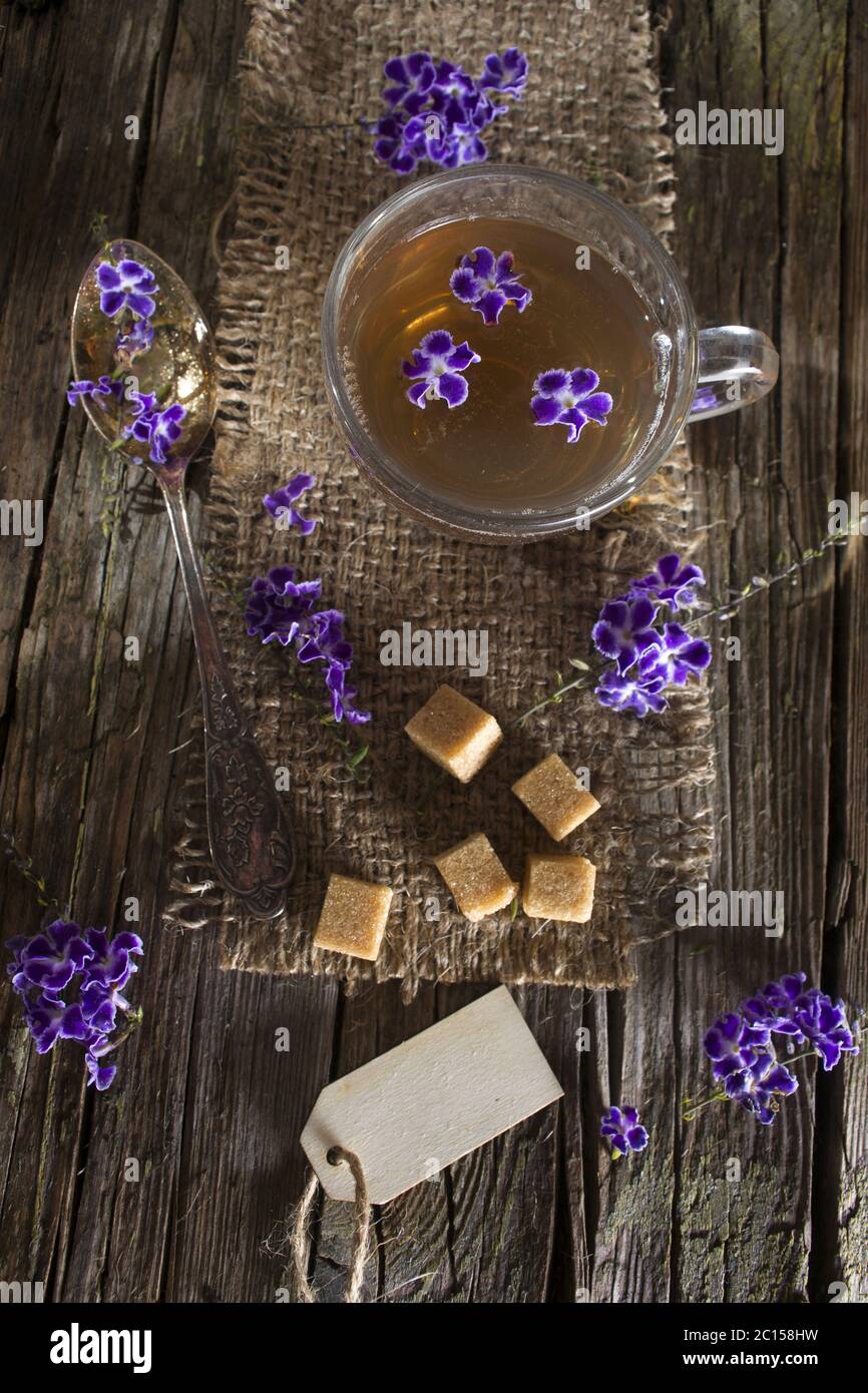 Tè con fiori Duranta repens Foto Stock