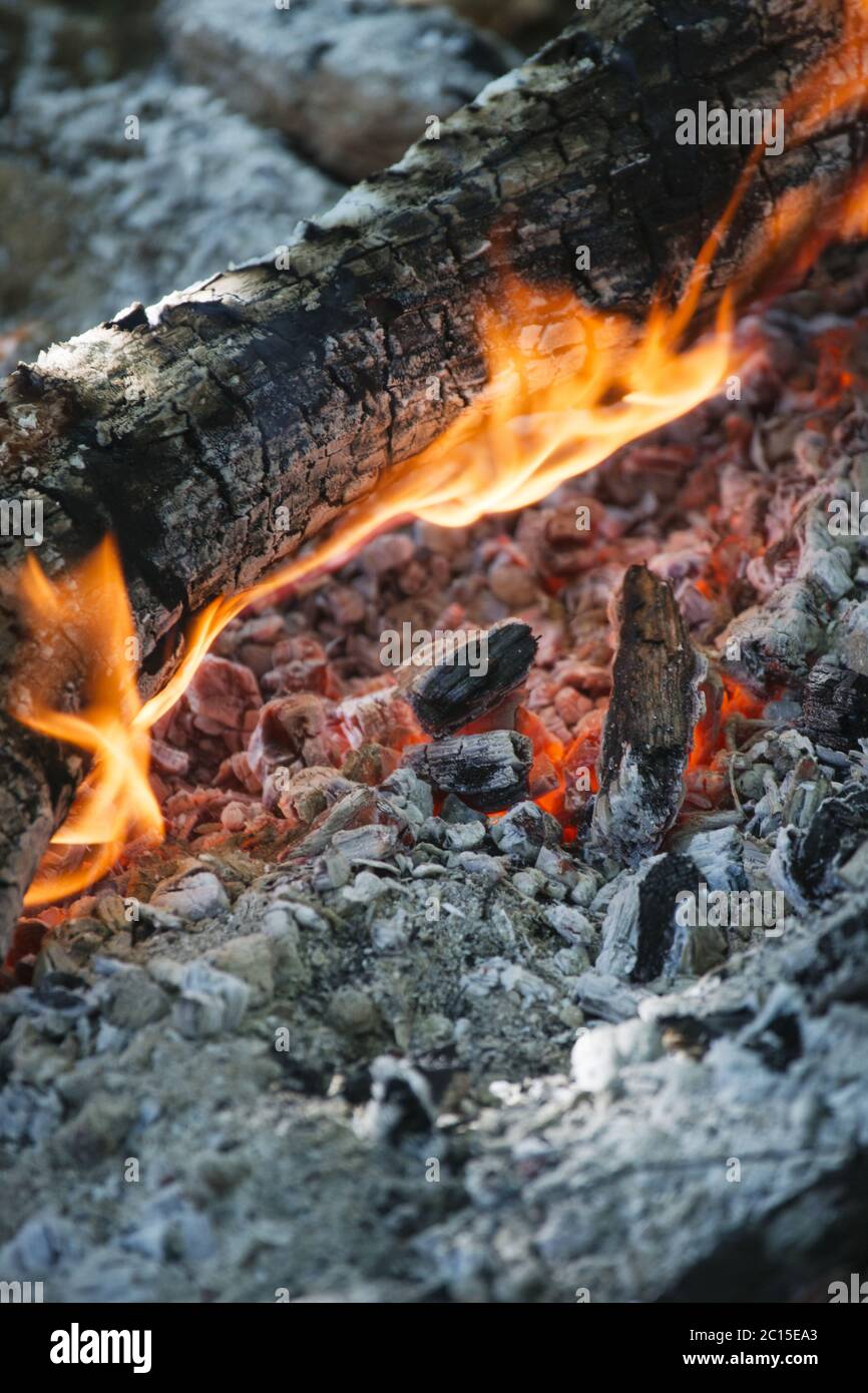 Fase di combustione del legno Foto Stock