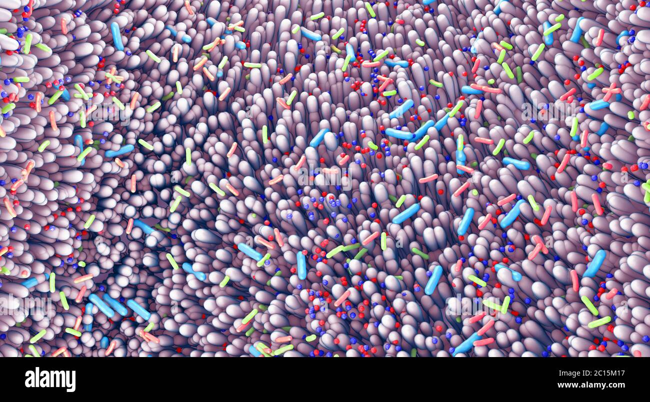 Germi diversi nell'intestino umano chiamato microbioma - illustrazione 3d Foto Stock