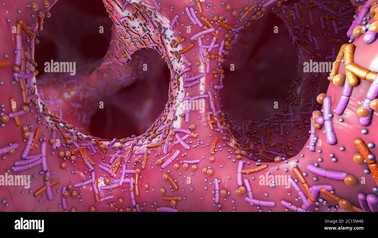 Germi diversi nell'intestino umano chiamato microbiota - illustrazione 3d Foto Stock