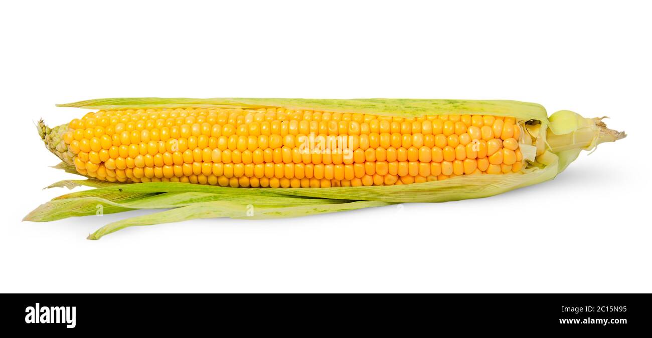 Singola mezza sbucciata spiga del granoturco Foto Stock