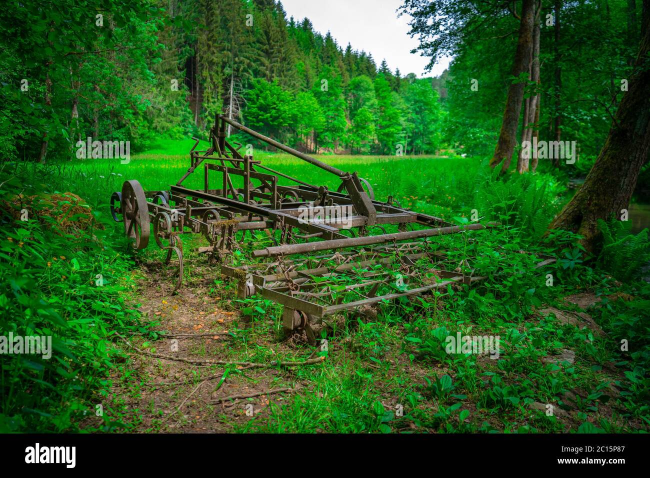 Erpice antico nel mezzo della foresta Mitterfels nella foresta bavarese Foto Stock