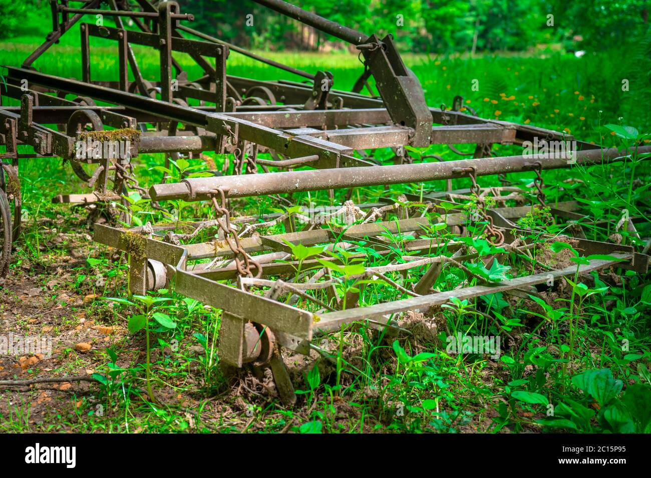 Erpice antico nel mezzo della foresta Mitterfels nella foresta bavarese Foto Stock