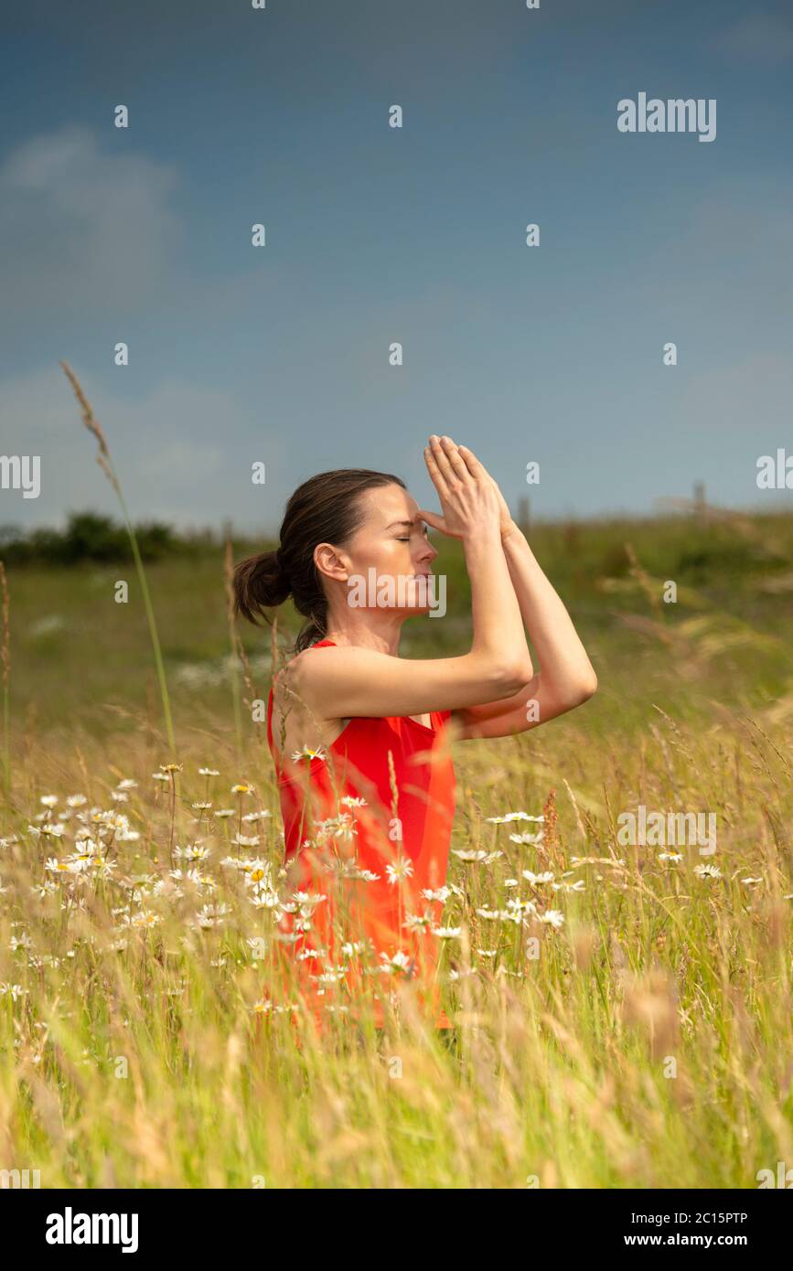 Donna che pratica yoga in un campo di dasiie e fiori selvatici, meditazione concetto. Foto Stock