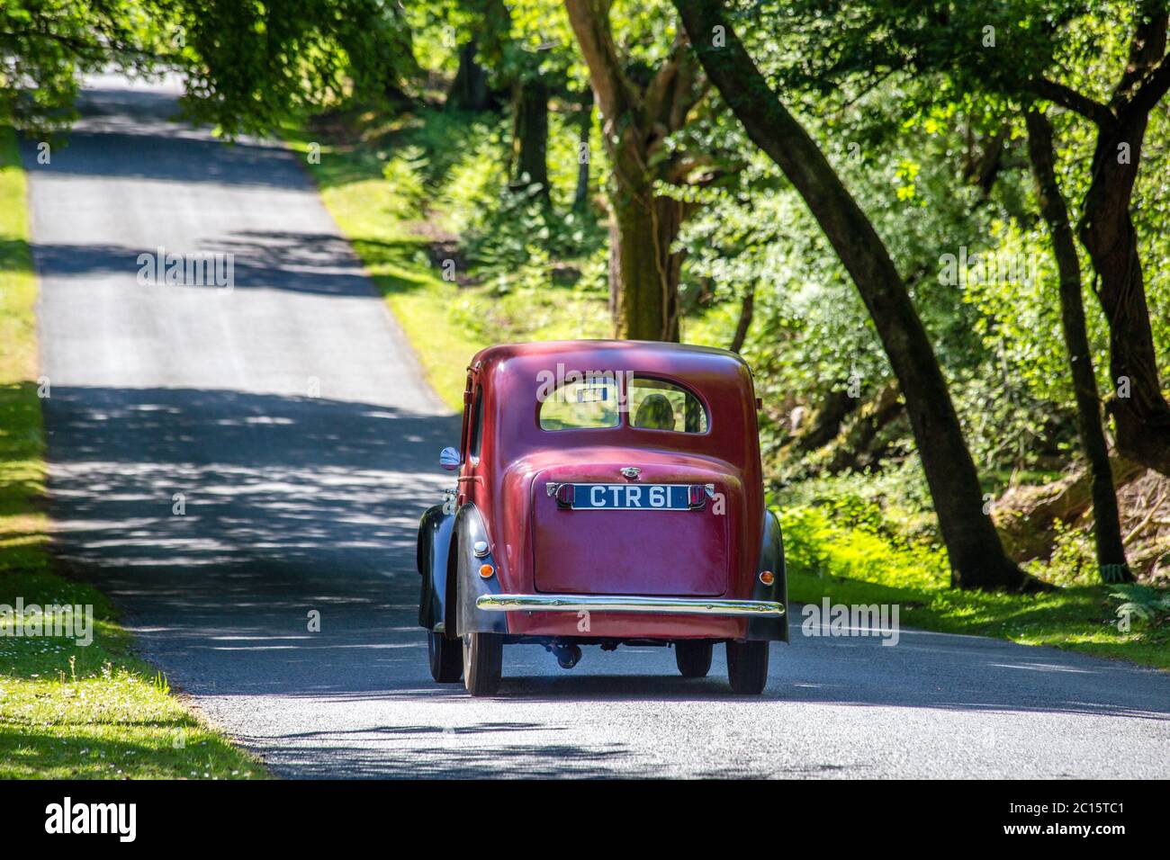 Auto classica Austin Seven Ruby che attraversa la scena boschiva del New Forest National Park, Hampshire, Inghilterra Foto Stock