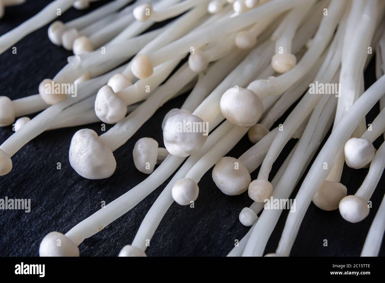Funghi Enoki, un ingrediente spesso usato nella cucina giapponese e in altre cucine asiatiche. Foto Stock