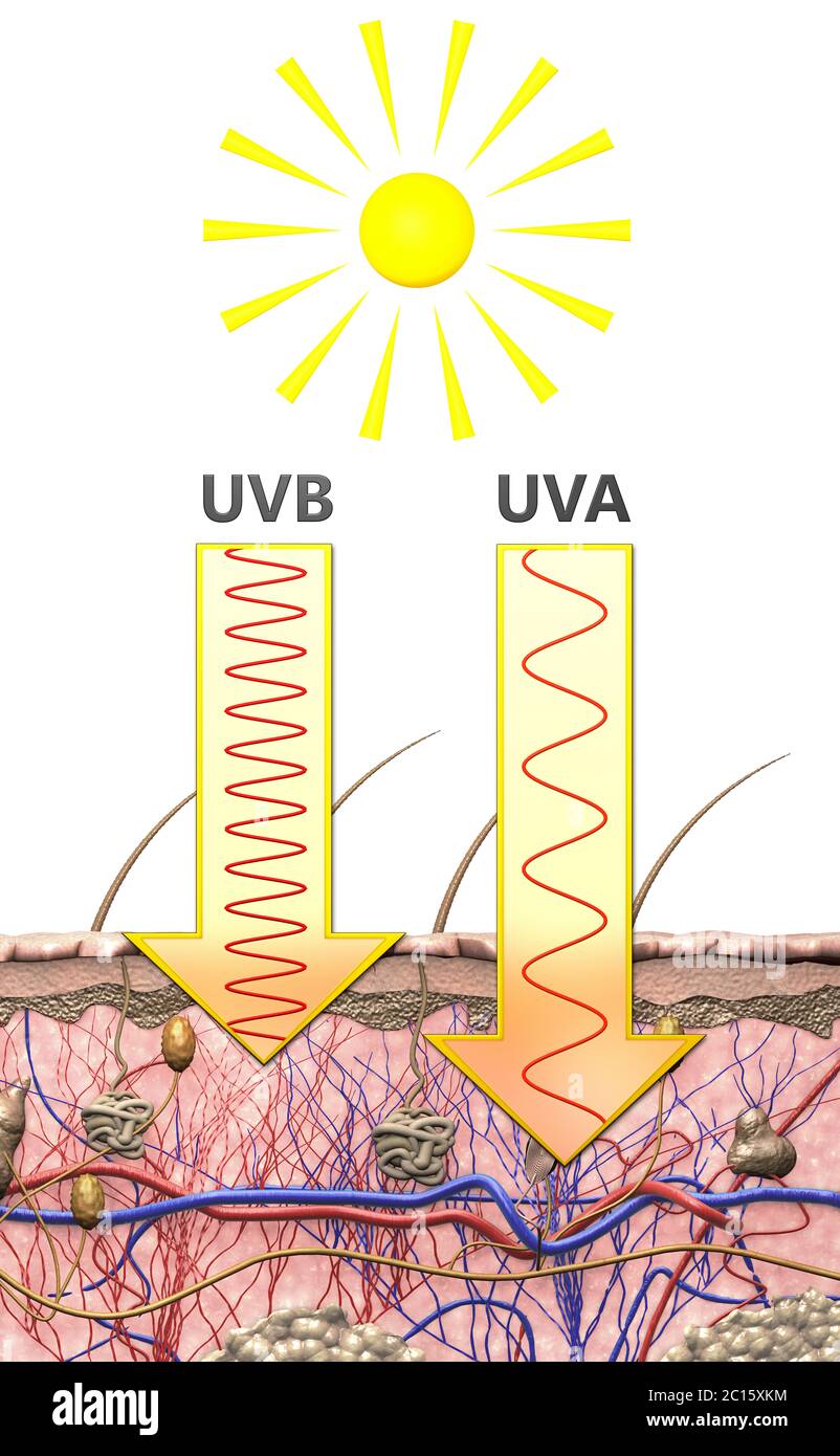 Rappresentazione illustrativa della differenza di lunghezza d'onda della radiazione ultravioletta di tipo a e b nell'illustrazione 3D della luce solare Foto Stock