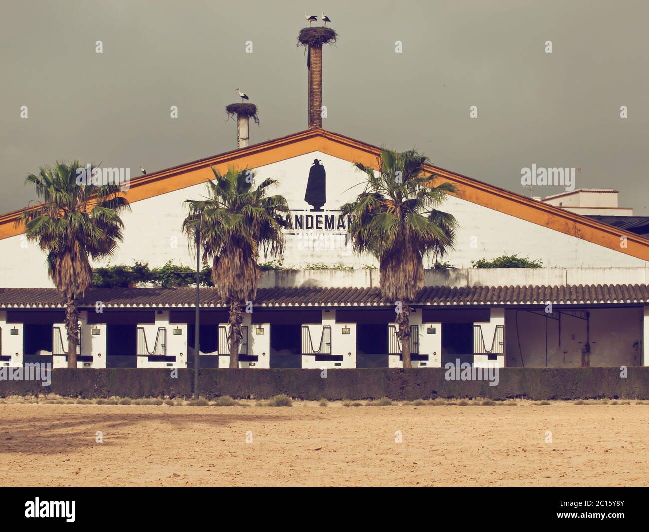 La Scuola reale Andalucían di Arte Equestre , Jerez, Spagna Foto Stock