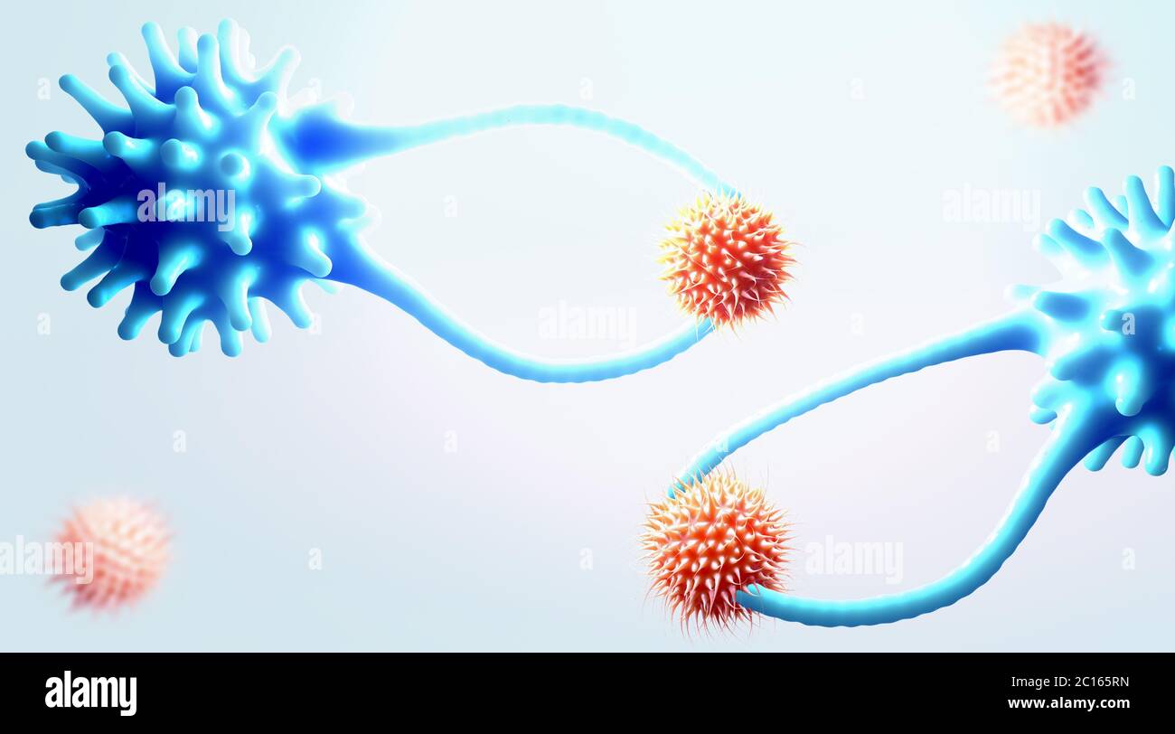 Le cellule T citotossiche cercano e distruggono le cellule tumorali mutate - illustrazione 3d Foto Stock