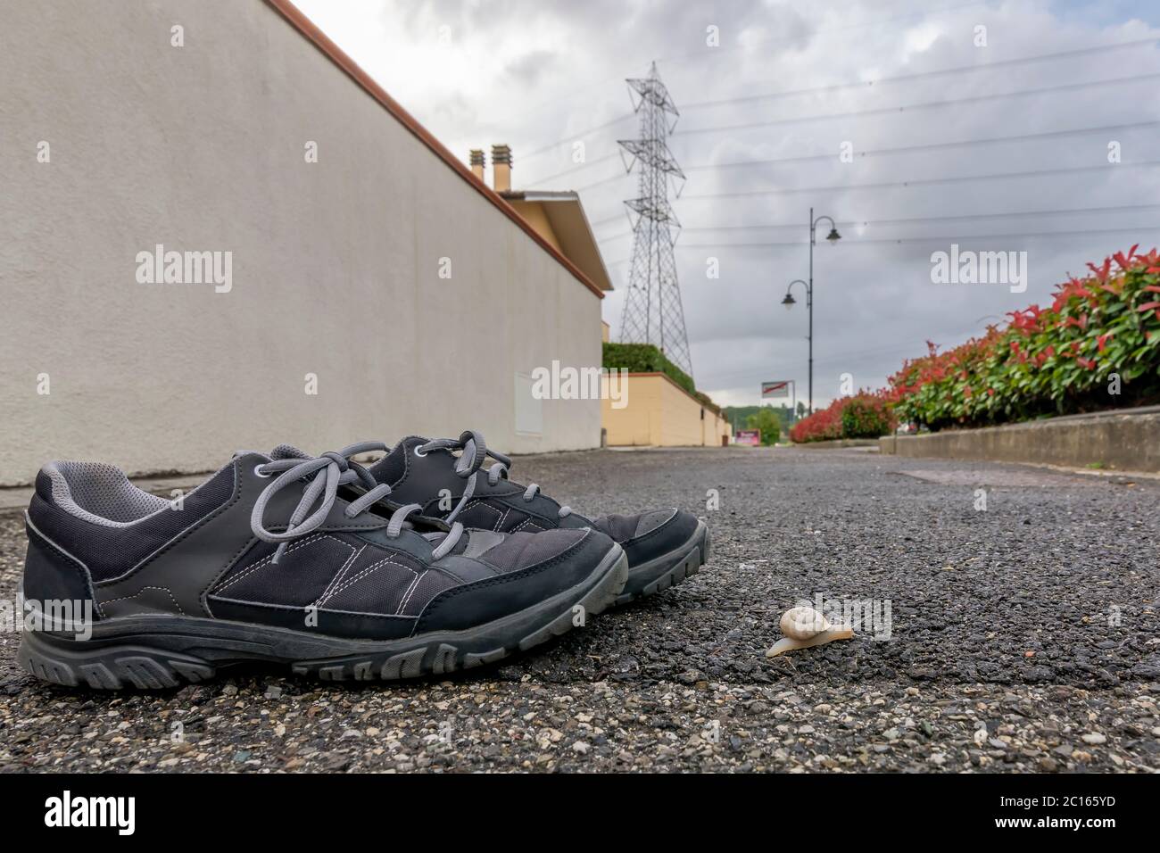 Una lumaca si striscia sull'asfalto vicino a un paio di sneakers con un pilone ad alta tensione sullo sfondo e il cielo nuvoloso Foto Stock