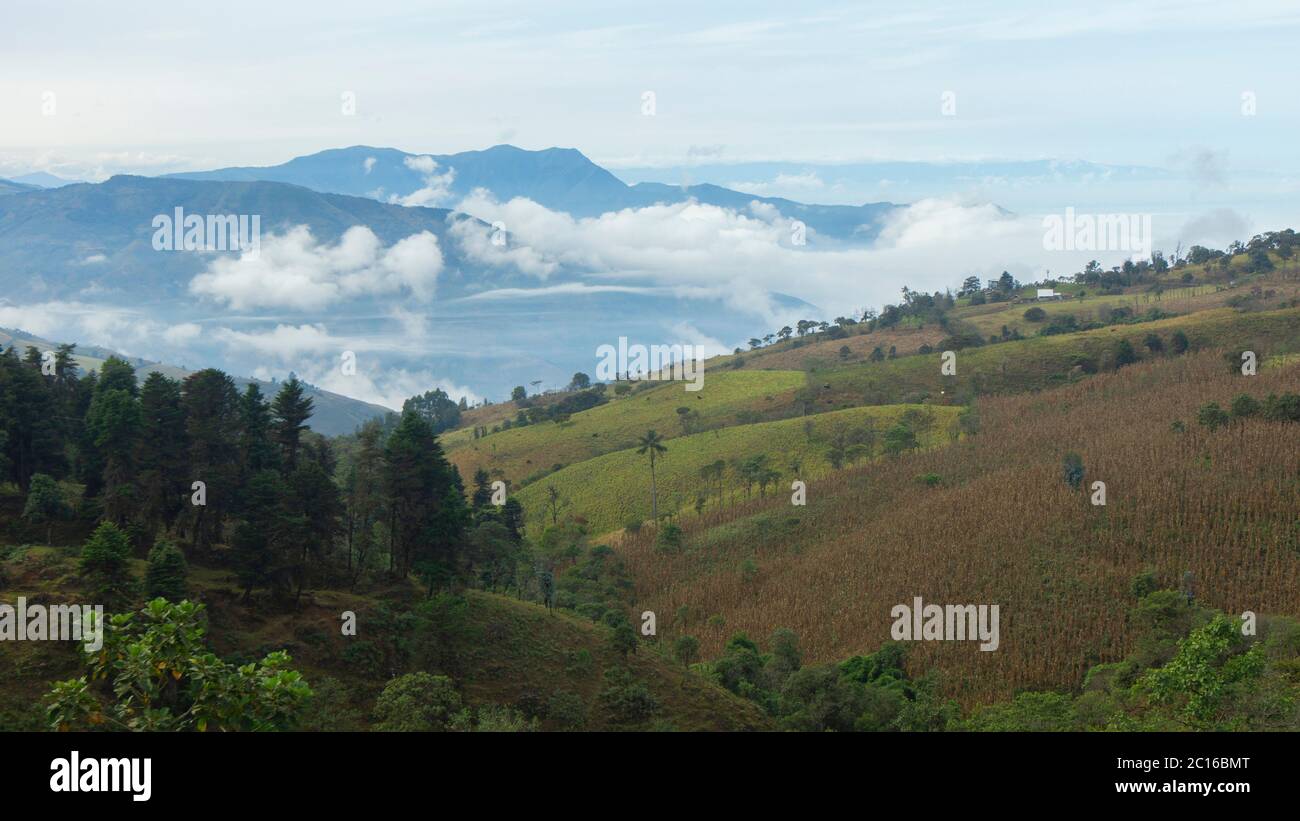 Vista panoramica dei campi verdi semina con montagne tra le nuvole sullo sfondo. Paesaggio in provincia di Bolivar in Ecuador Foto Stock