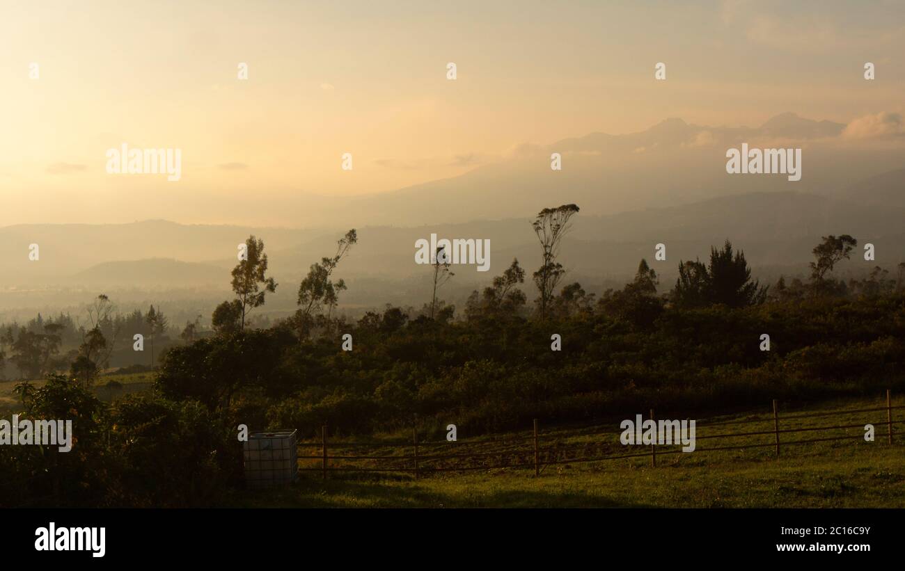 Vista panoramica dell'alba sugli altipiani ecuadoriani con le montagne tra le nuvole e in primo piano una fila di alberi Foto Stock