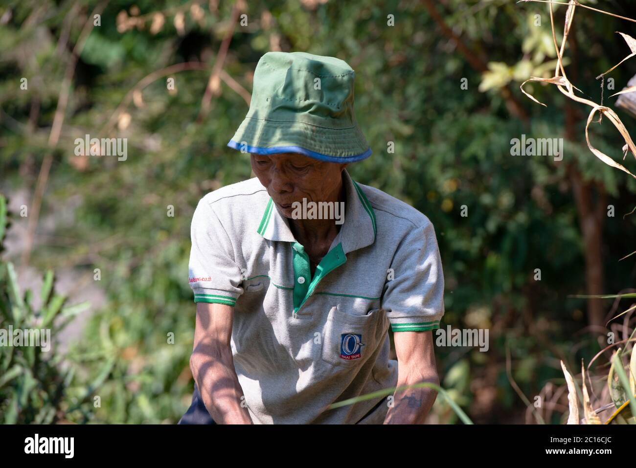 Un uomo anziano, indigeno, etnico Akha. Provincia di Chiang Rai, Thailandia settentrionale. Foto Stock