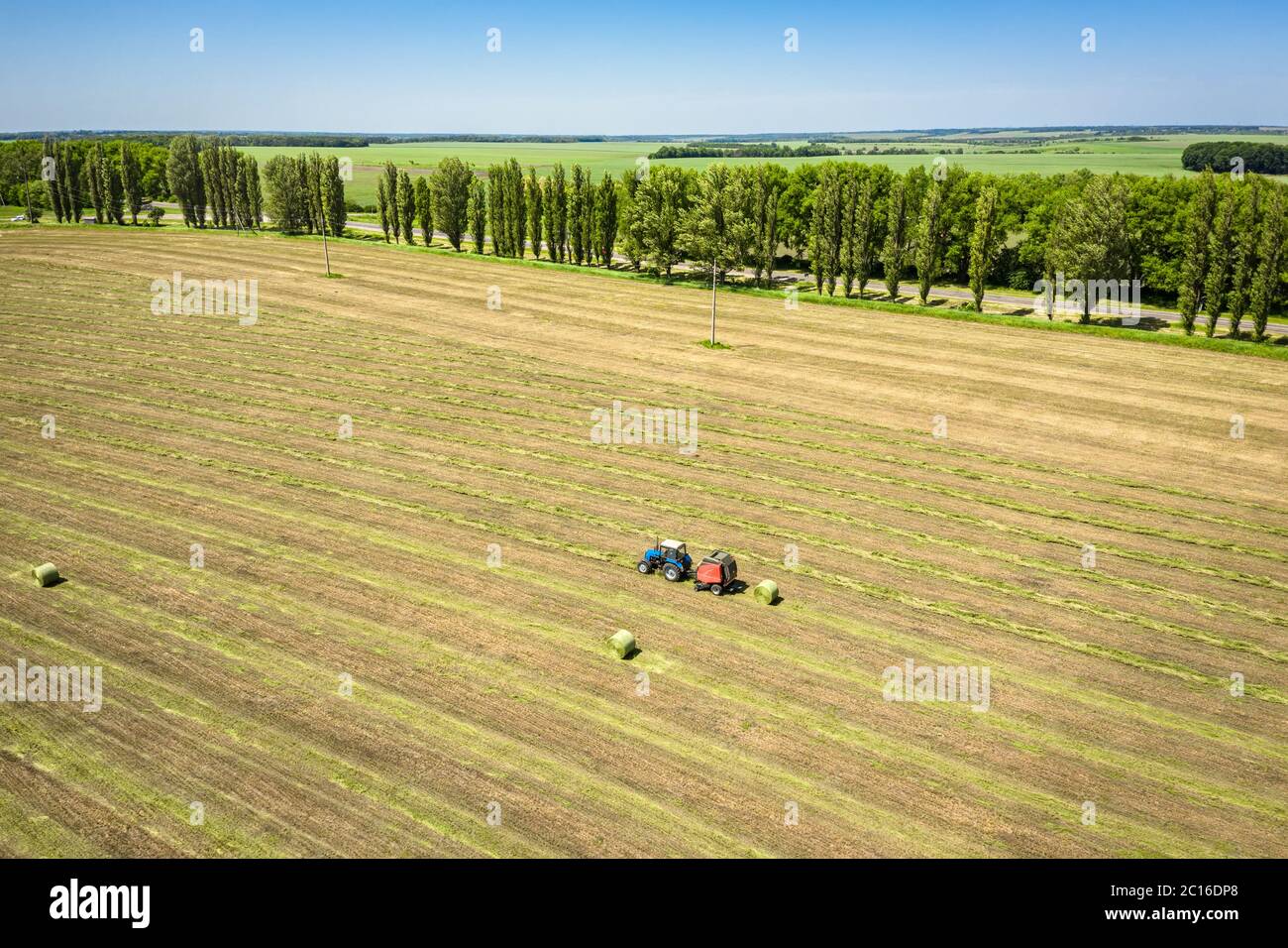 Trattore che tira una rotopressa grande per raccogliere l'erba erba erba di alta qualità da un campo estivo Foto Stock