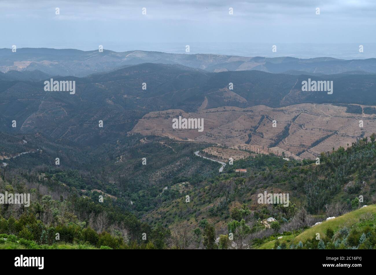 Monchique valle scenario in Algarve, Portogallo Foto Stock