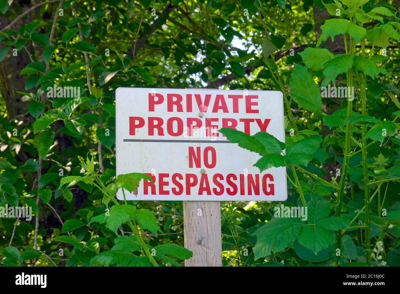 Proprietà privata No Trespassing segno con alberi intorno ad esso. Foto Stock