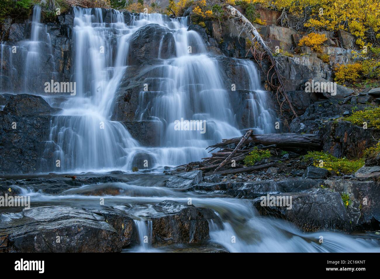 Cascata, Lundy Canyon, Inyo National Forest, Sierra orientale, California Foto Stock