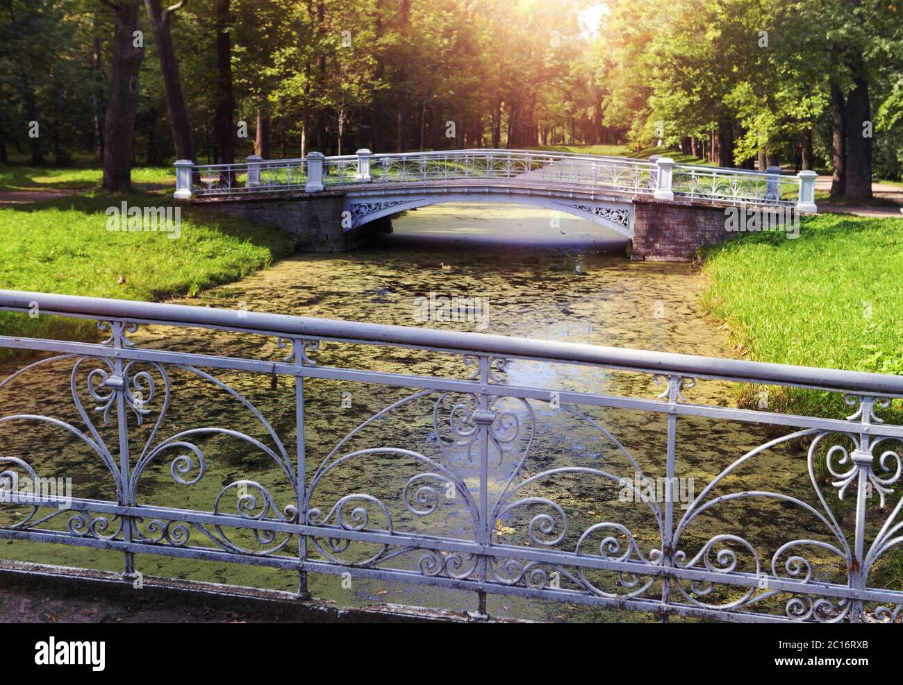 ponte sul canale sopravvolta con un anatre. Catherine Park. Pushkin (Tsarskoye Selo). Petersb Foto Stock
