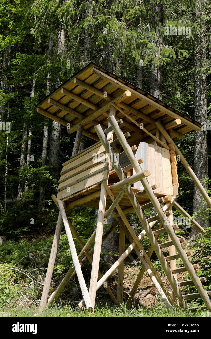 Il rifugio in legno dei cacciatori si trova ai margini della foresta Foto Stock