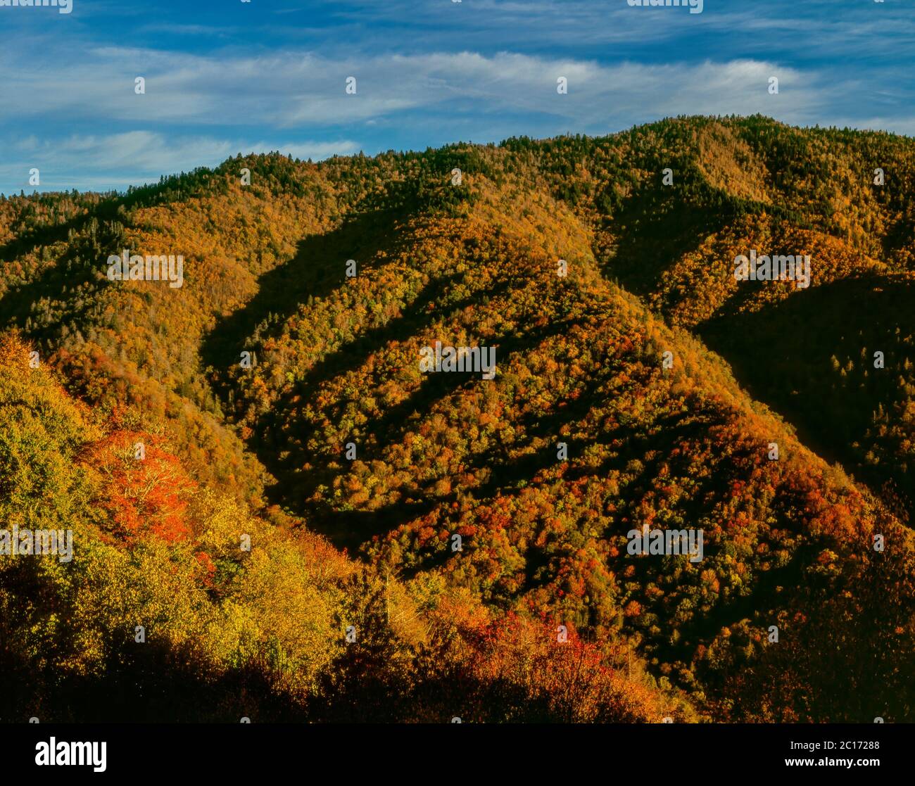 Autunno sopra il fiume Ocolanuftee, Great Smoky Mountains National Park, North Carolina Foto Stock