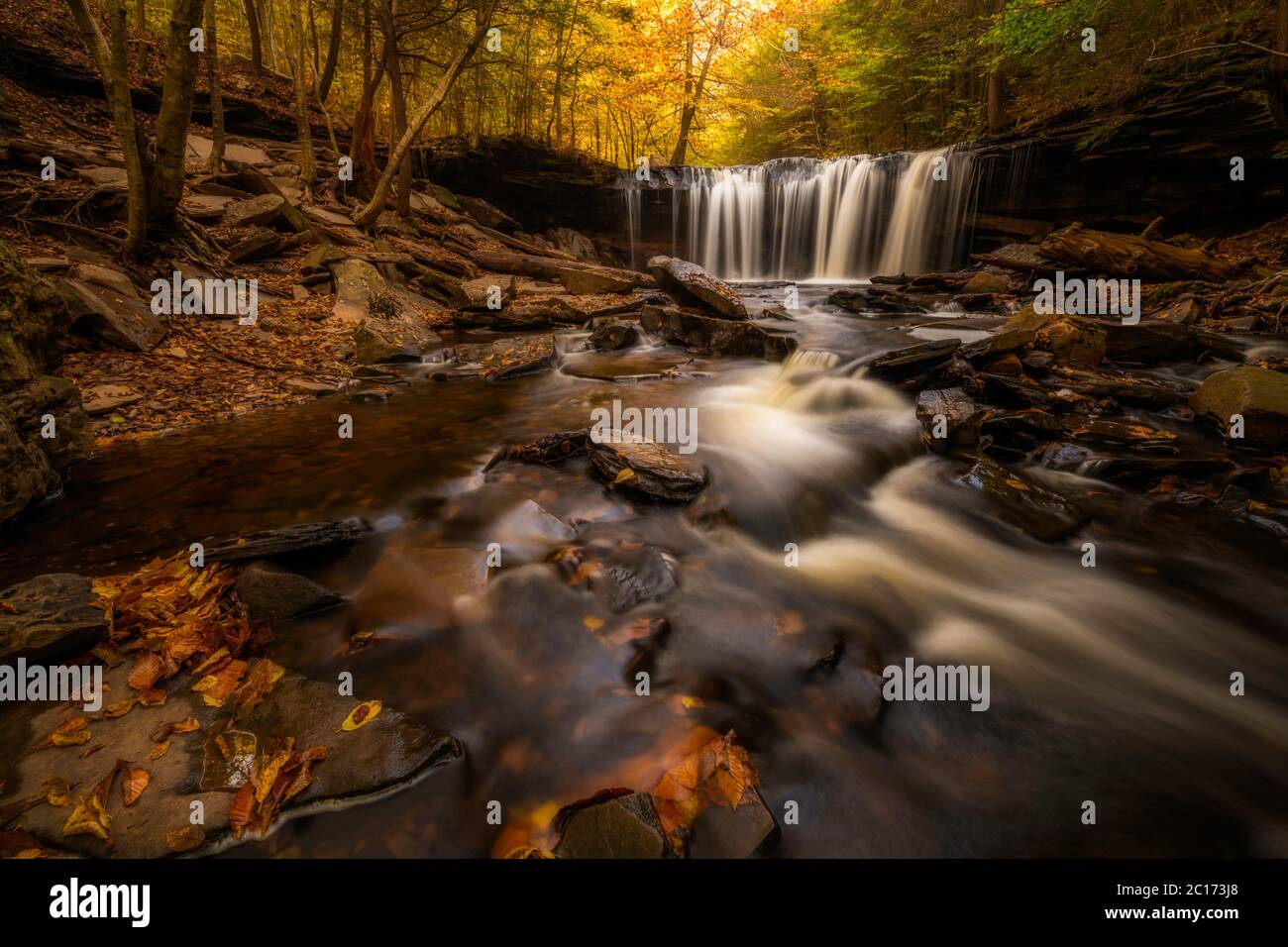 Tranquilla vista sulle cascate autunnali al Rickett's Glen state Park, Pennsylvania Foto Stock