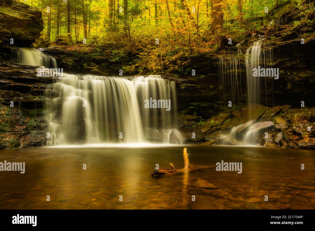 Tranquilla vista sulle cascate autunnali al Rickett's Glen state Park, Pennsylvania Foto Stock