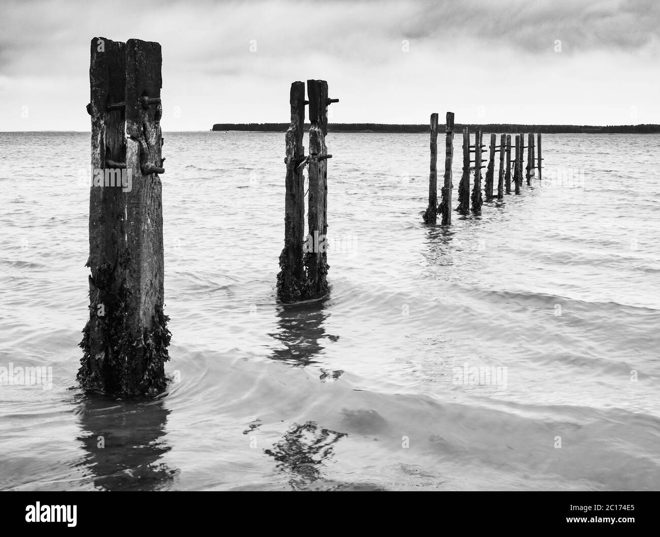 Immagine monocromatica (in bianco e nero) dei posti di groyne marciti a Broughty Ferry, Dundee, Scozia, Regno Unito. Foto Stock