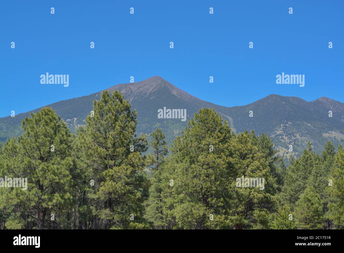 La vista del Monte Humphreys e del suo picco di Agassiz. Uno dei picchi di San Francisco nella Arizona Pine Forest. Vicino a Flagstaff, Coconino County, Arizona Foto Stock