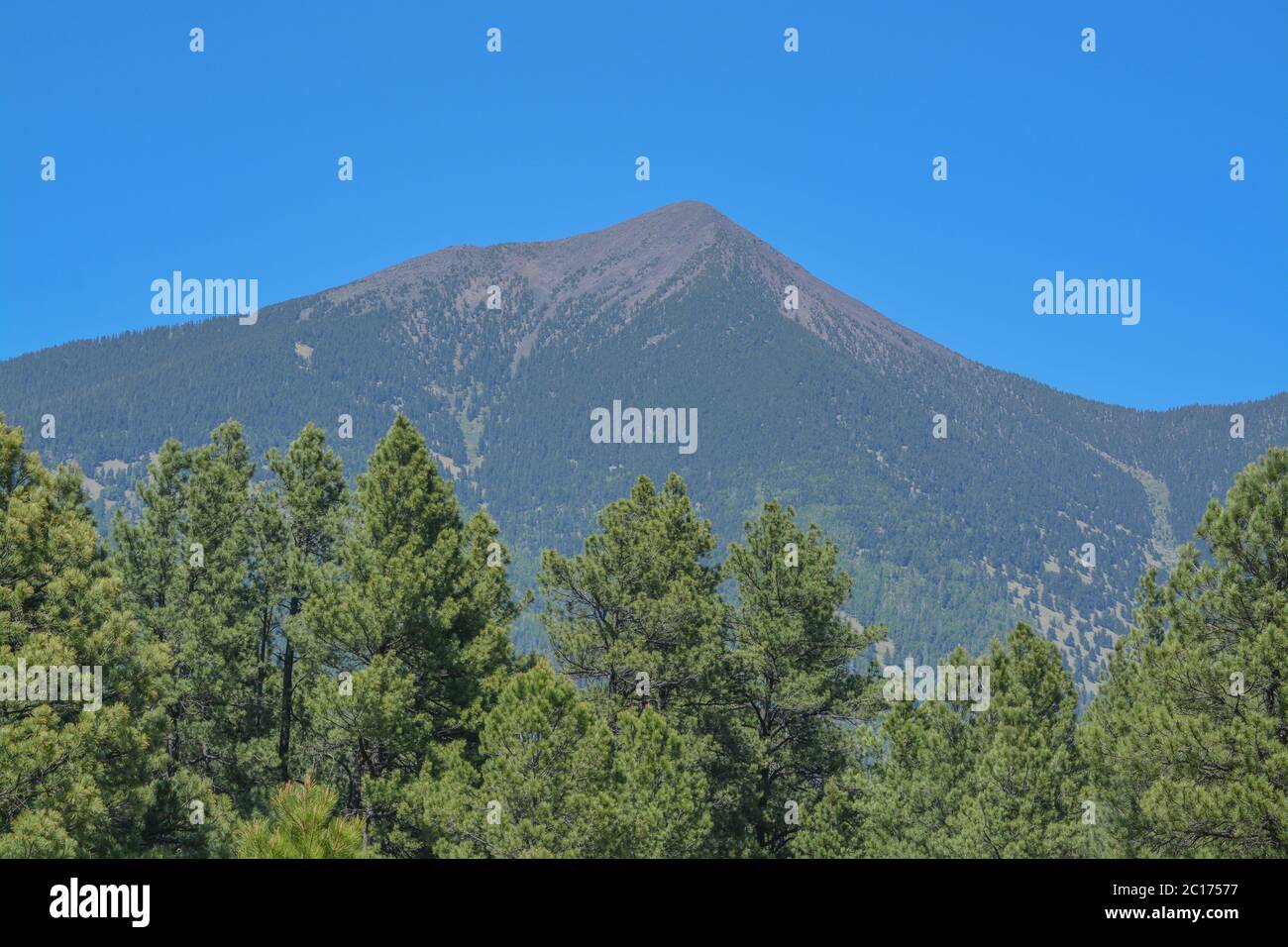 La vista del Monte Humphreys e del suo picco di Agassiz. Uno dei picchi di San Francisco nella Arizona Pine Forest. Vicino a Flagstaff, Coconino County, Arizona Foto Stock