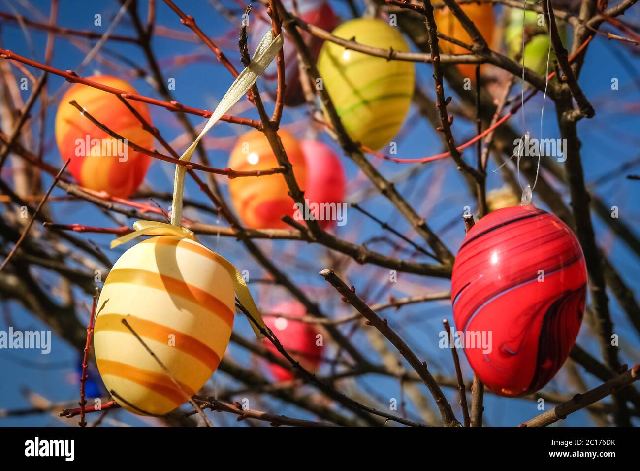 Le uova di pasqua su una struttura ad albero Foto Stock