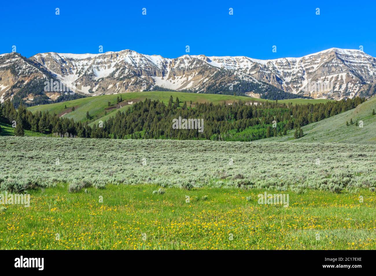 centennial montagne sopra le colline e valle di sagebrush nel bacino superiore del fiume di roccia rossa vicino lakeview, montana Foto Stock